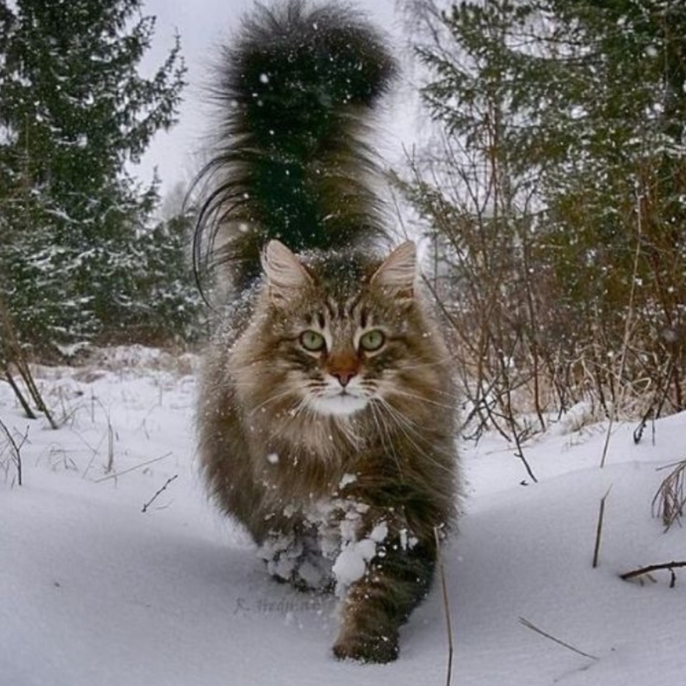 Private Listing - image 8